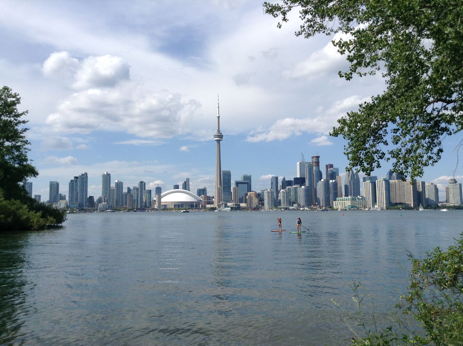 Sunny downtown Toronto skyline seen from the Toronto Islands, with paddleboarders on the water